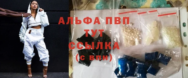 дмт Пересвет