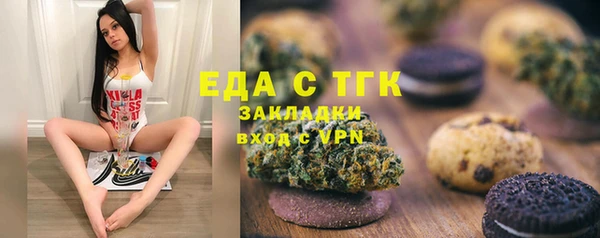 дмт Пересвет