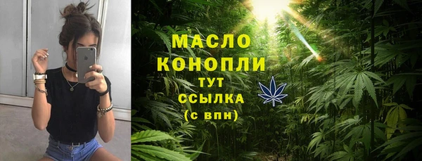 дмт Пересвет