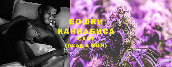PSILOCYBIN Пестово