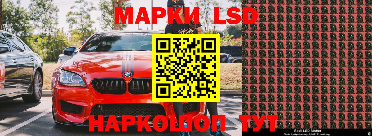 Псилоцибиновые грибы Балтийск