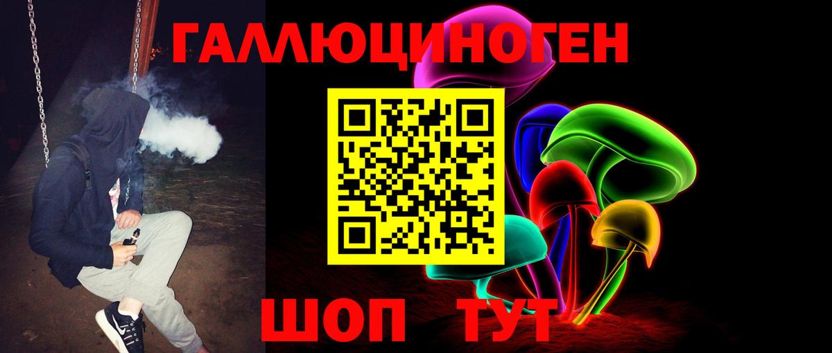 Галлюциногенные грибы Psilocybine cubensis  Вход с VPN  Балтийск 